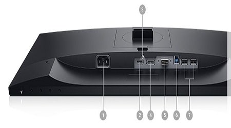 Connectivity of Dell P2319H